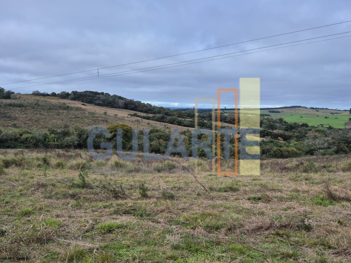 Terreno, 3 hectares - Foto 7