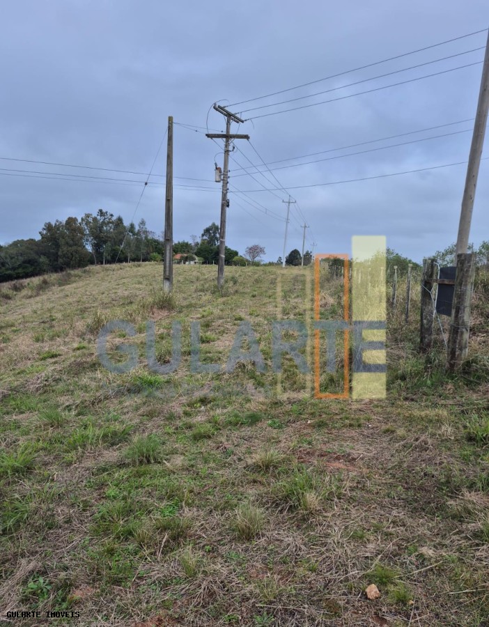 Terreno, 3 hectares - Foto 8