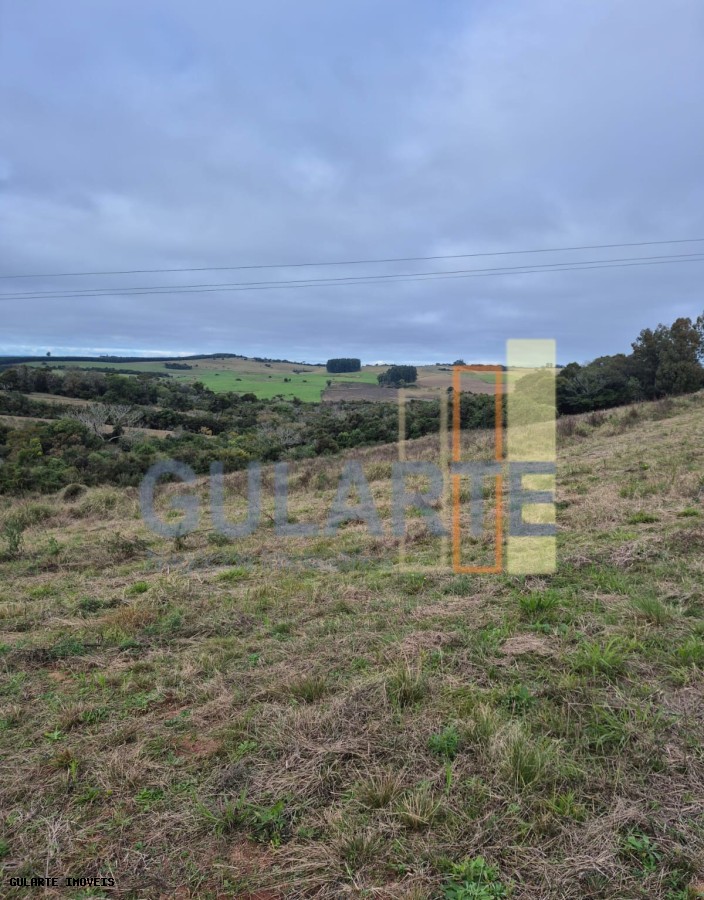 Terreno, 3 hectares - Foto 9