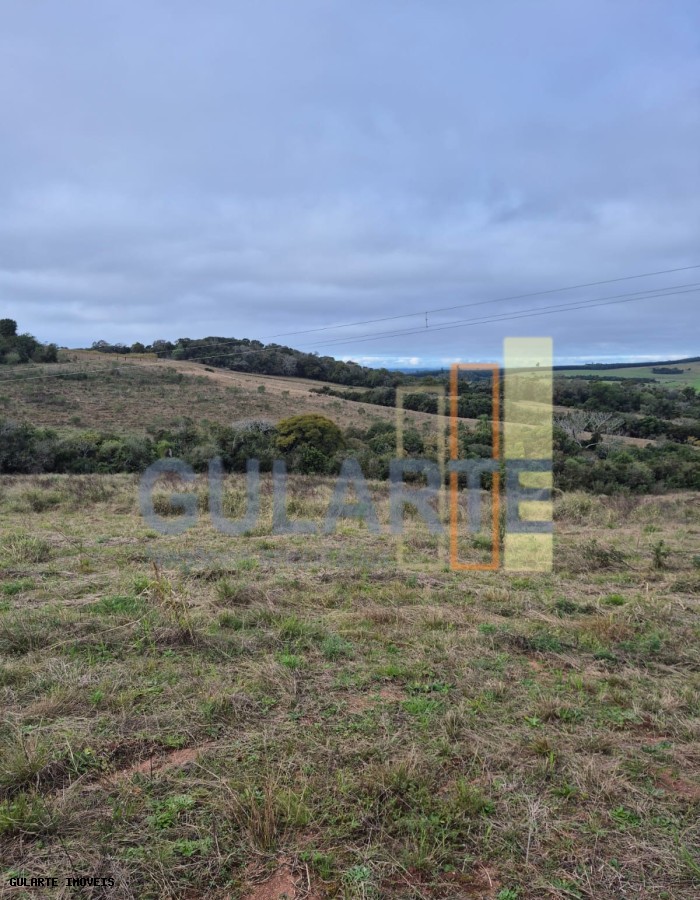 Terreno, 3 hectares - Foto 10