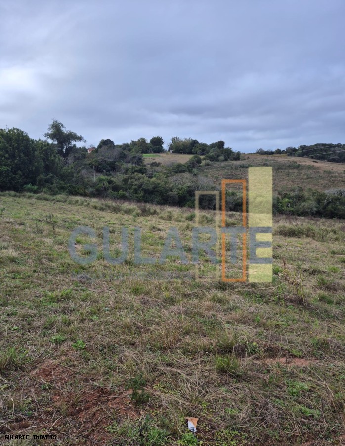 Terreno, 3 hectares - Foto 11