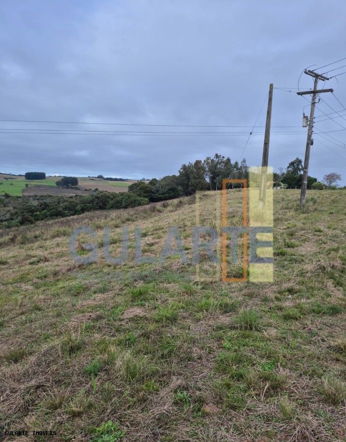 Terreno, 3 hectares - Foto 12