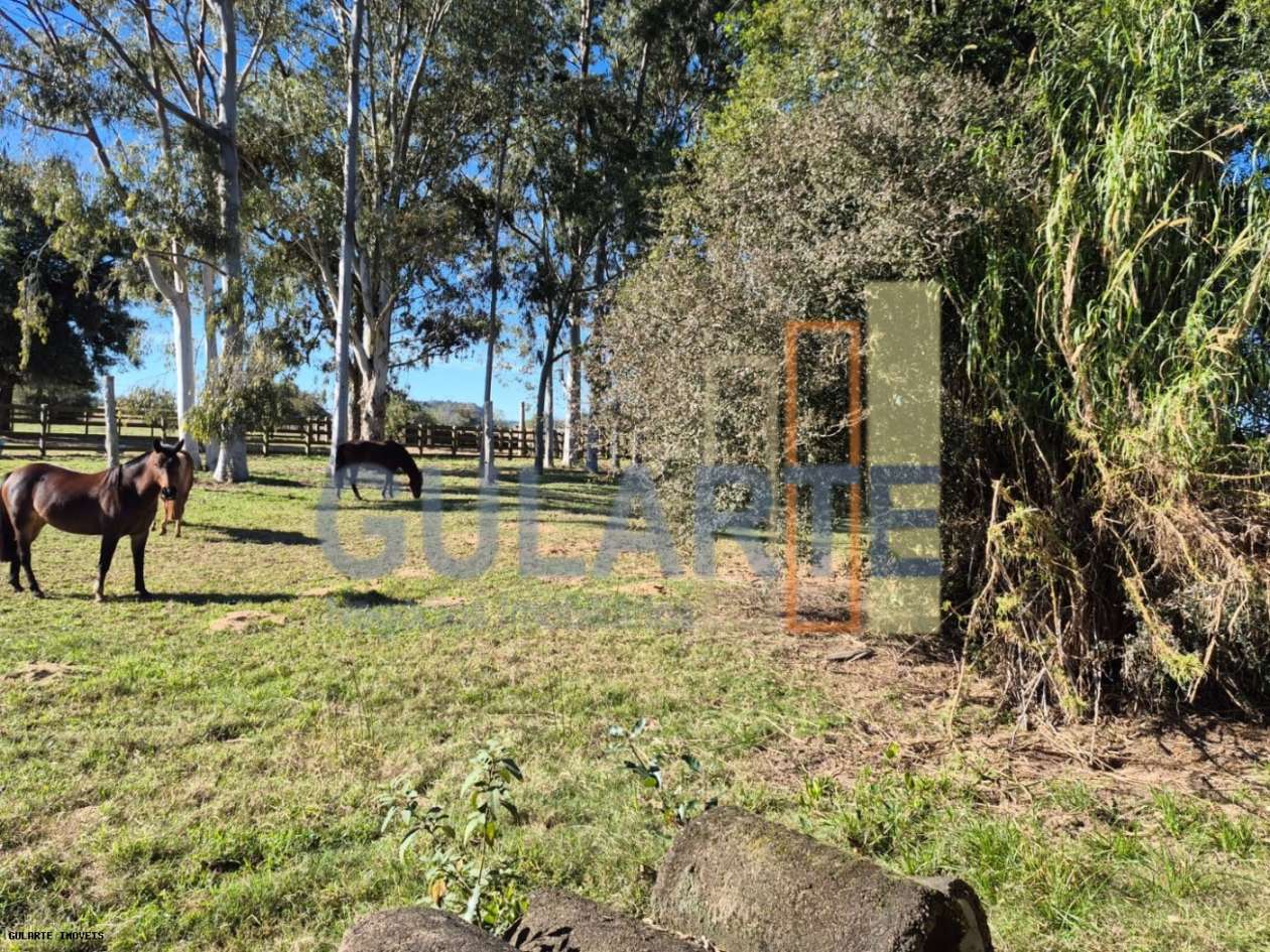 Fazenda, 98 hectares - Foto 2