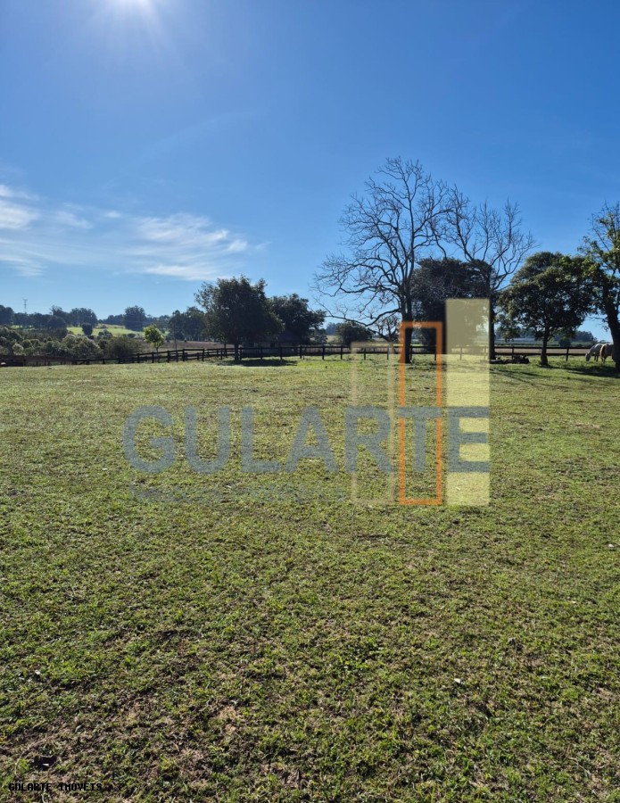 Fazenda, 98 hectares - Foto 4