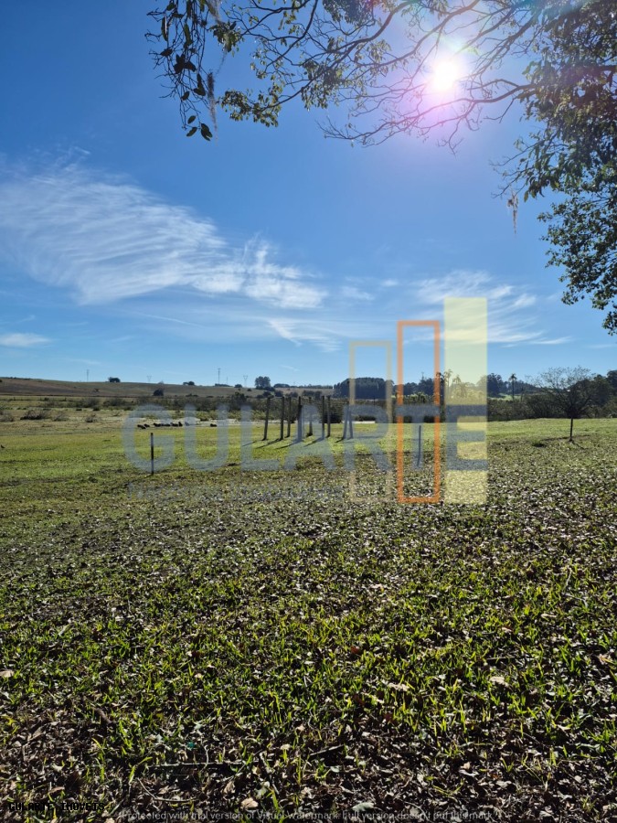 Fazenda, 98 hectares - Foto 7
