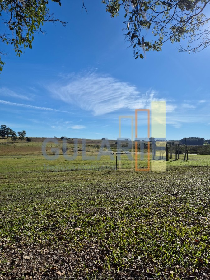 Fazenda, 98 hectares - Foto 8