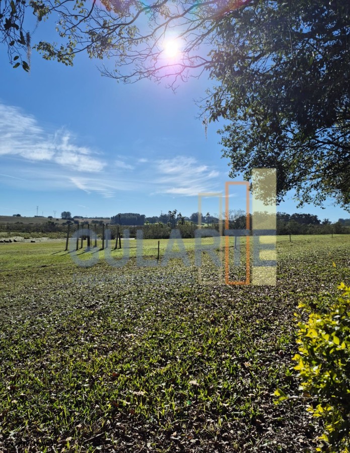 Fazenda, 98 hectares - Foto 9