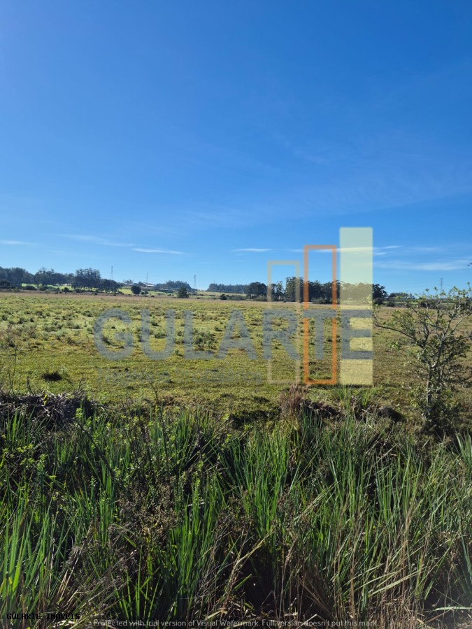 Fazenda, 98 hectares - Foto 10