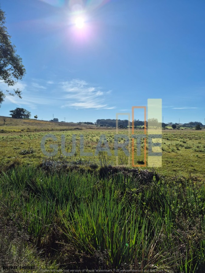 Fazenda, 98 hectares - Foto 11