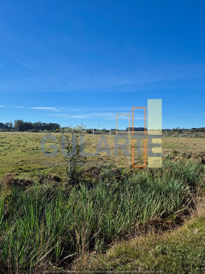 Fazenda, 98 hectares - Foto 12