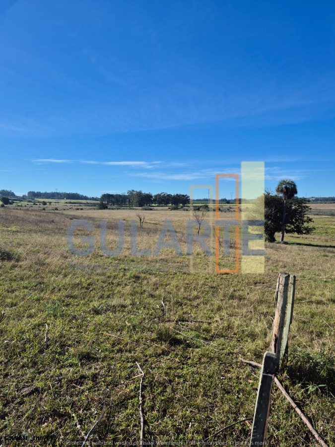 Fazenda, 98 hectares - Foto 13