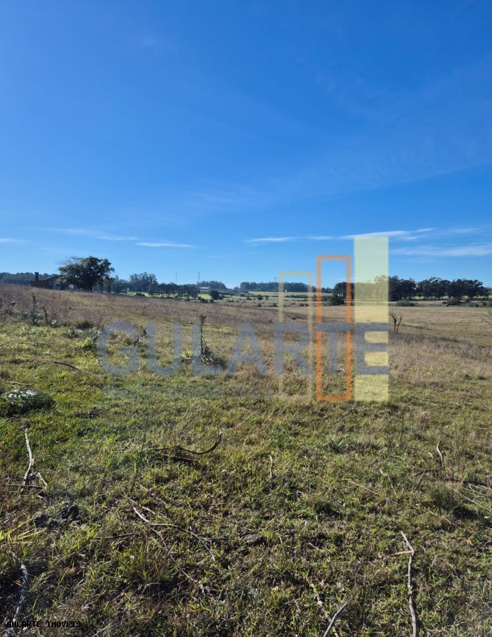 Fazenda, 98 hectares - Foto 14