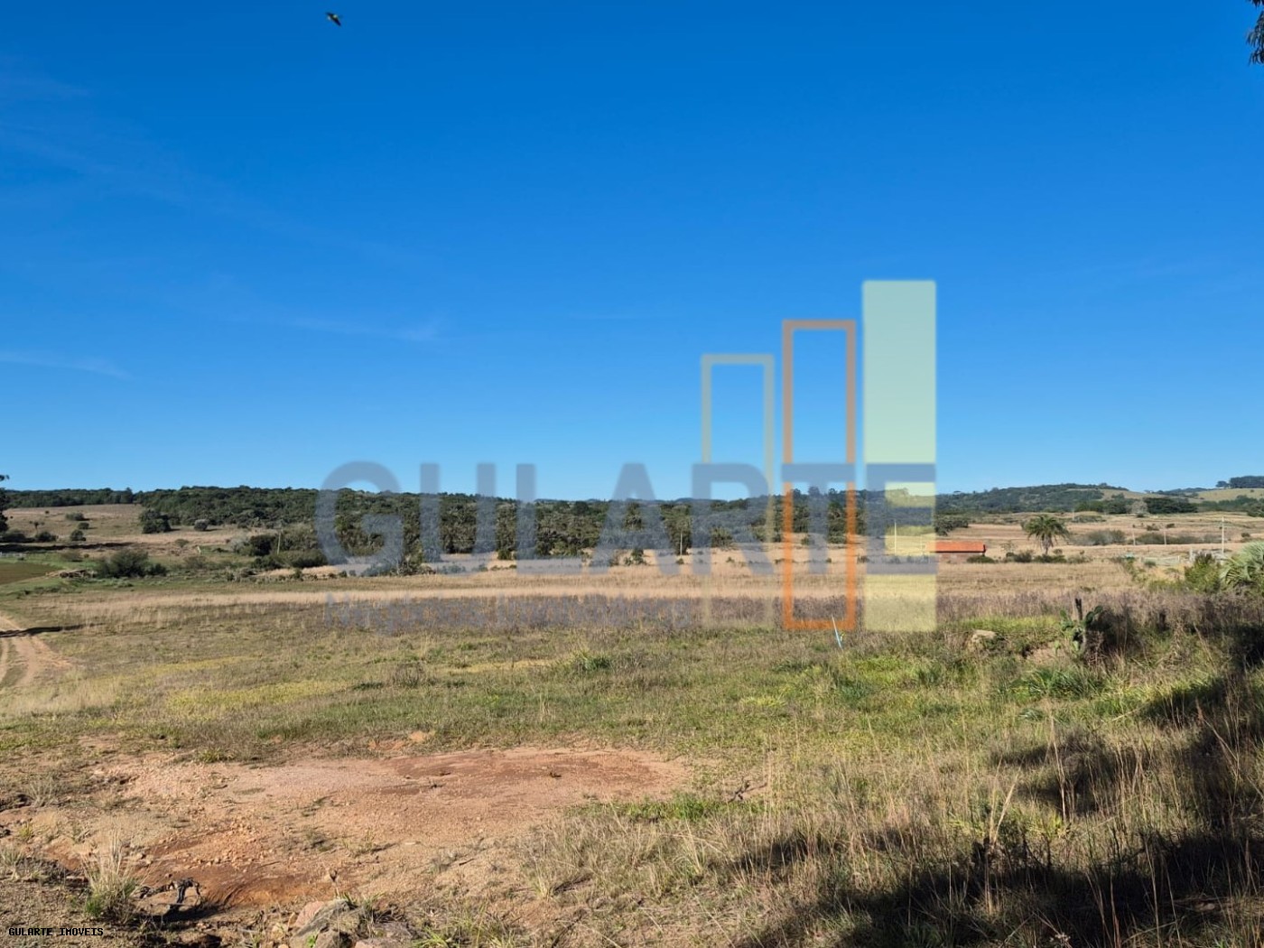 Fazenda, 98 hectares - Foto 15