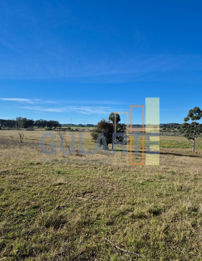 Fazenda, 98 hectares - Foto 16
