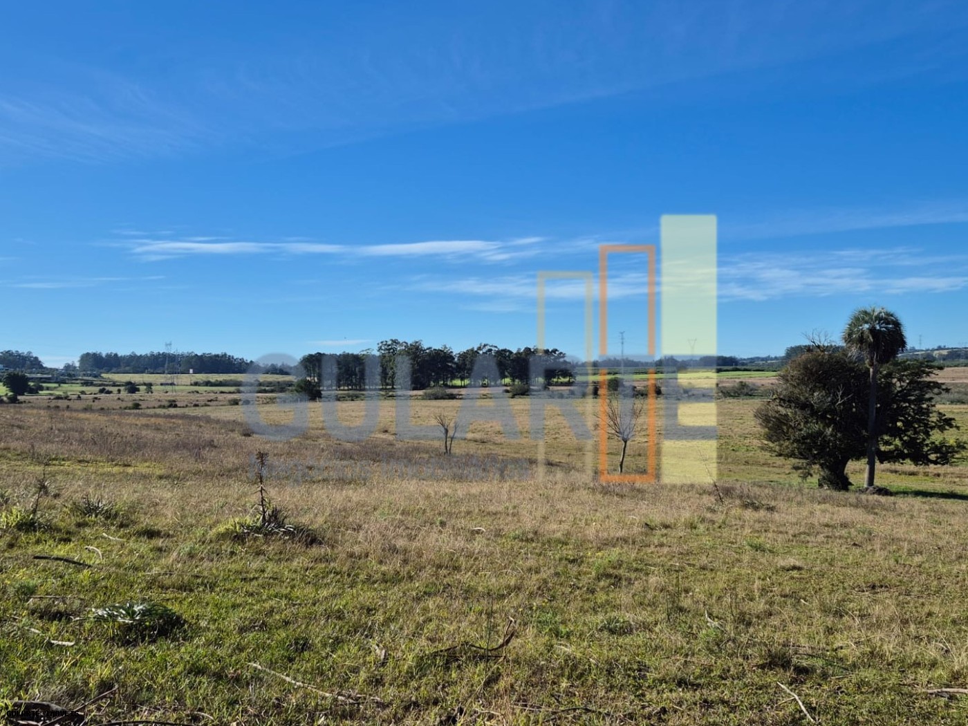 Fazenda, 98 hectares - Foto 17