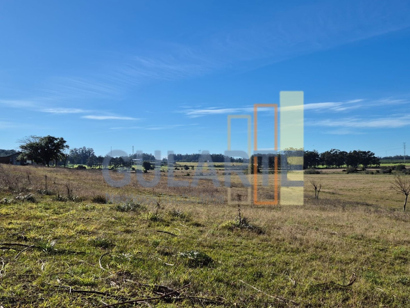 Fazenda, 98 hectares - Foto 18