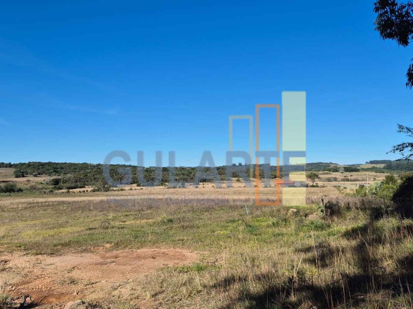 Fazenda, 98 hectares - Foto 20