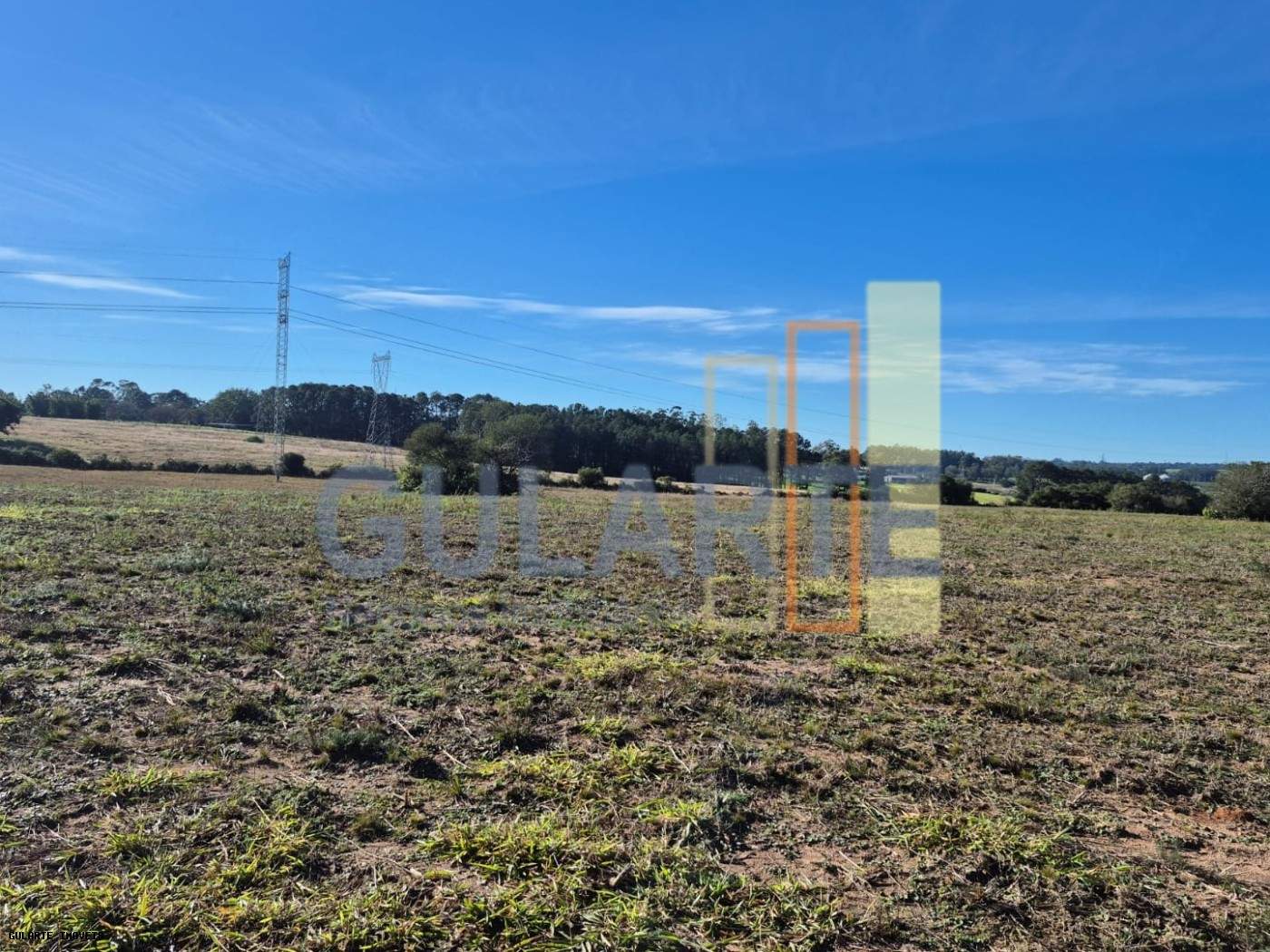 Fazenda, 98 hectares - Foto 21