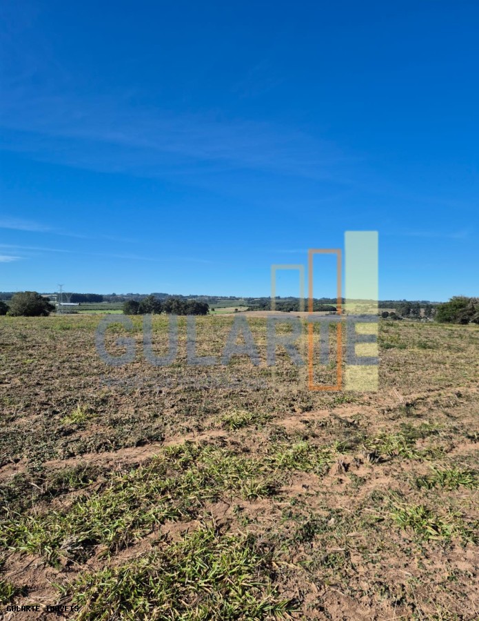Fazenda, 98 hectares - Foto 22