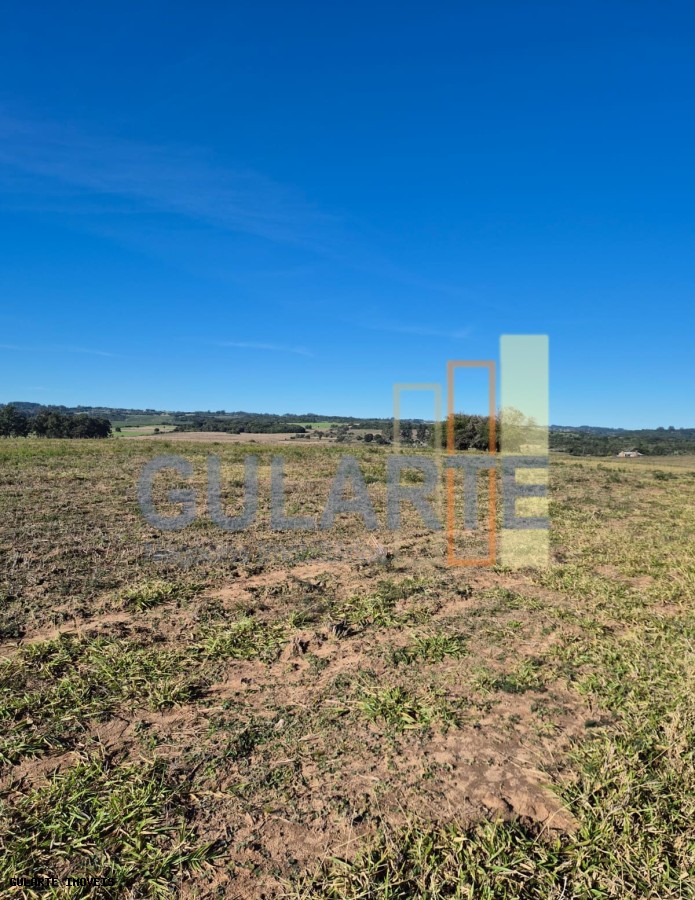 Fazenda, 98 hectares - Foto 23