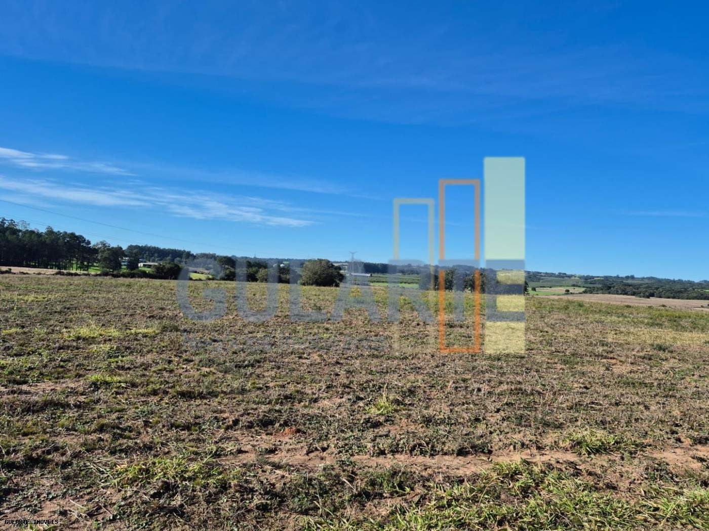 Fazenda, 98 hectares - Foto 24