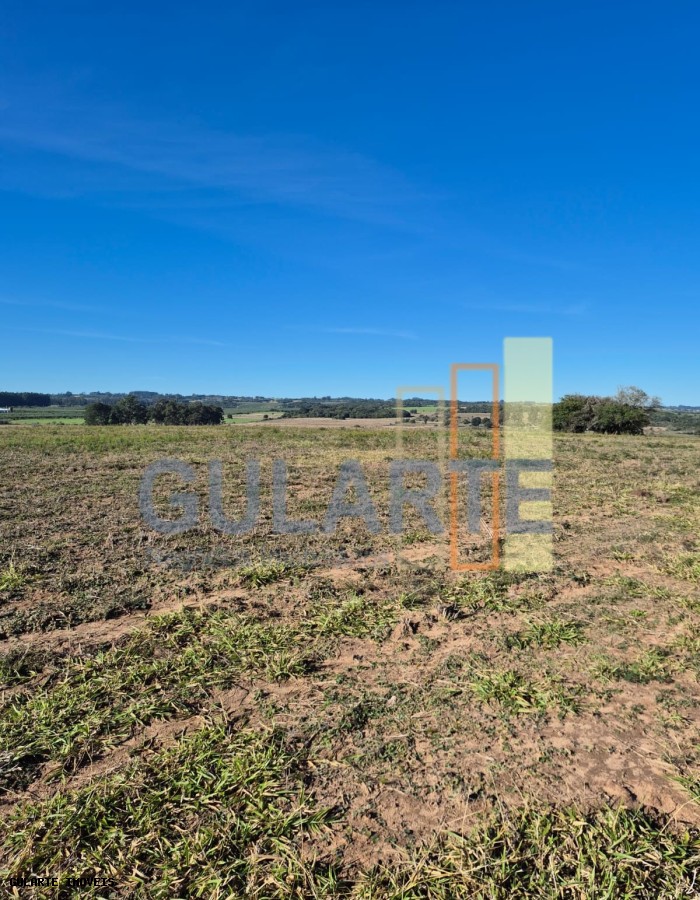 Fazenda, 98 hectares - Foto 25