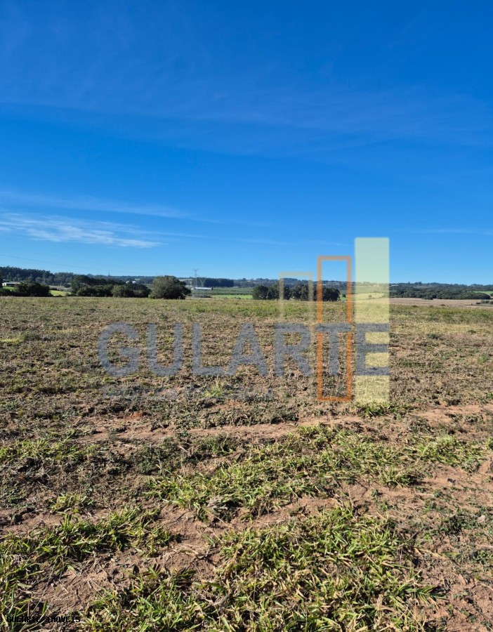 Fazenda, 98 hectares - Foto 26