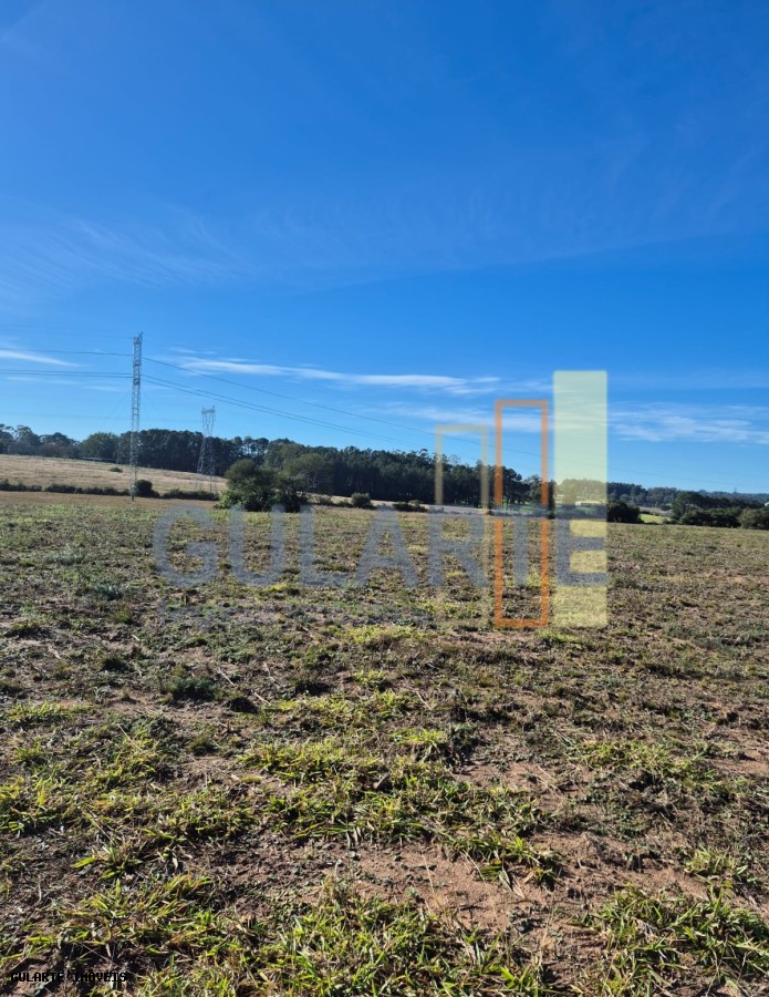 Fazenda, 98 hectares - Foto 27