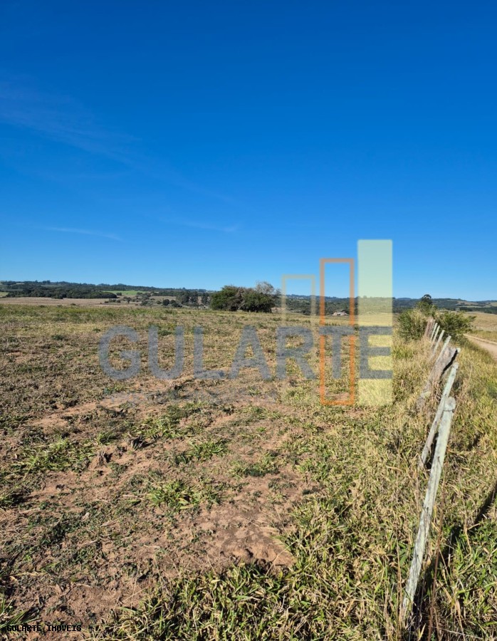 Fazenda, 98 hectares - Foto 28