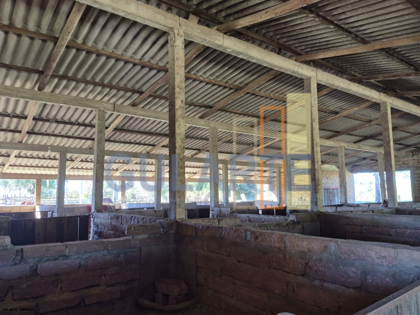 Fazenda, 98 hectares - Foto 31