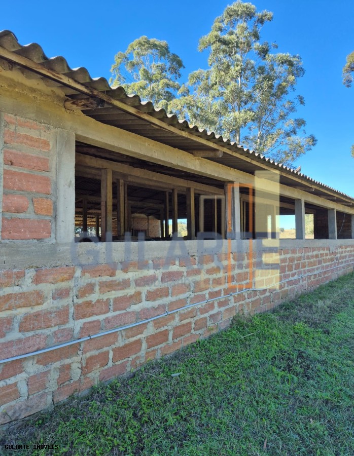 Fazenda, 98 hectares - Foto 30