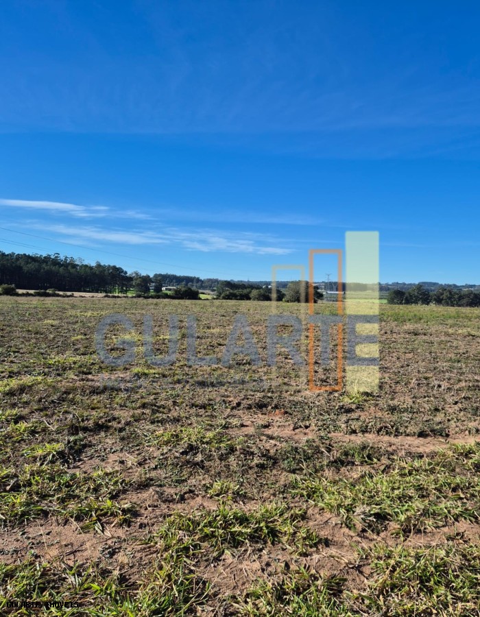 Fazenda, 98 hectares - Foto 33