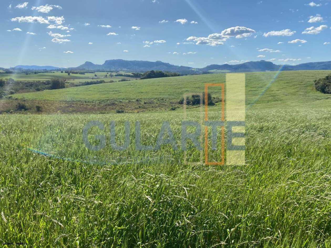 Fazenda, 140 hectares - Foto 1