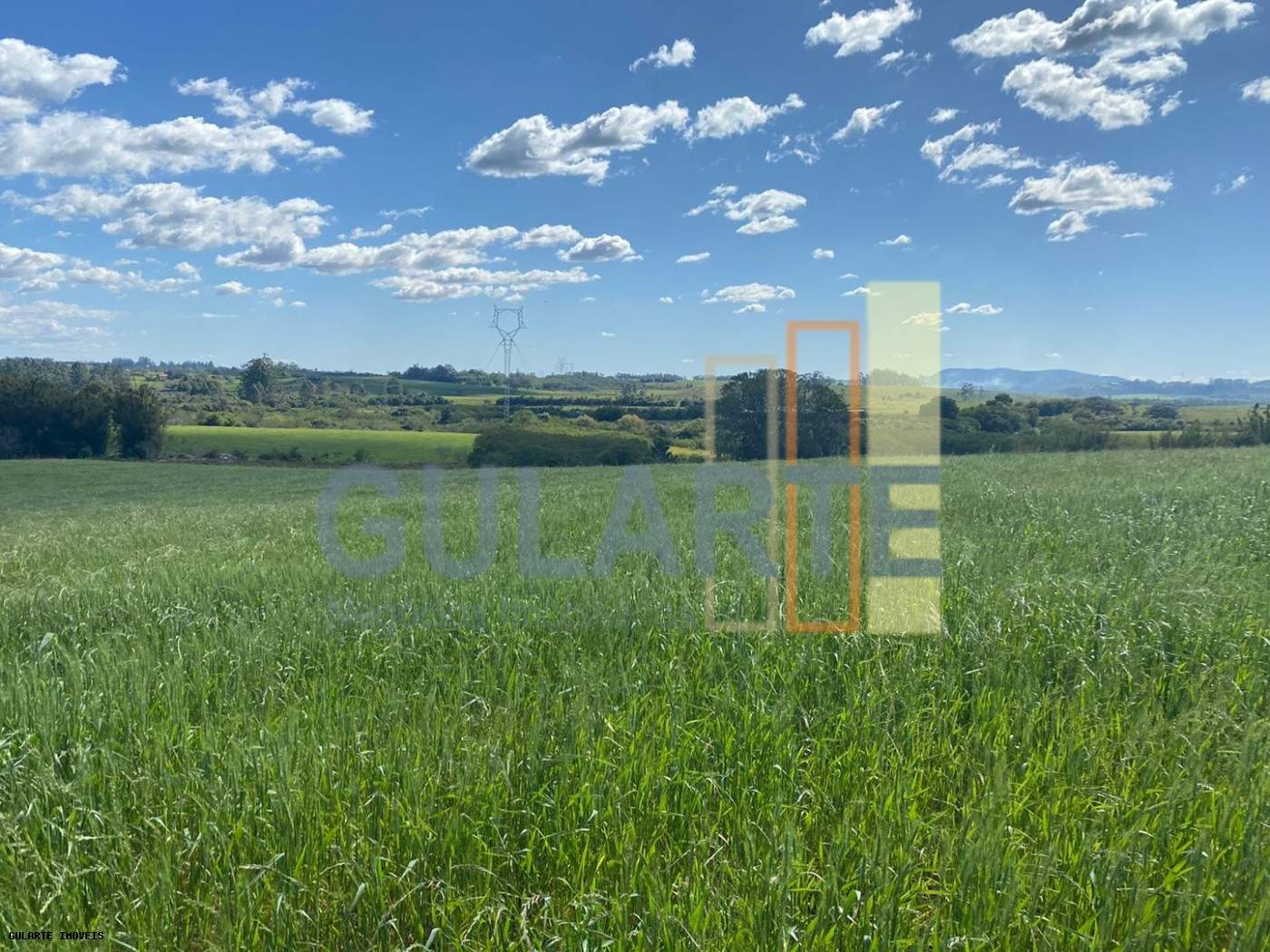 Fazenda, 140 hectares - Foto 3