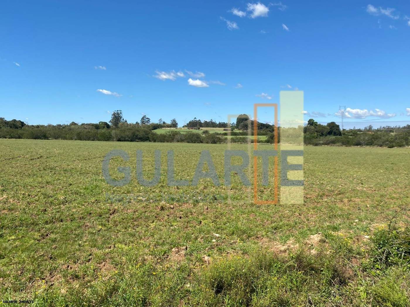 Fazenda, 140 hectares - Foto 4