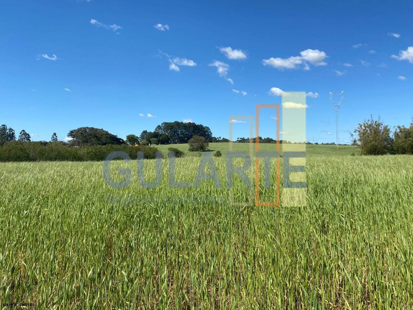 Fazenda, 140 hectares - Foto 8