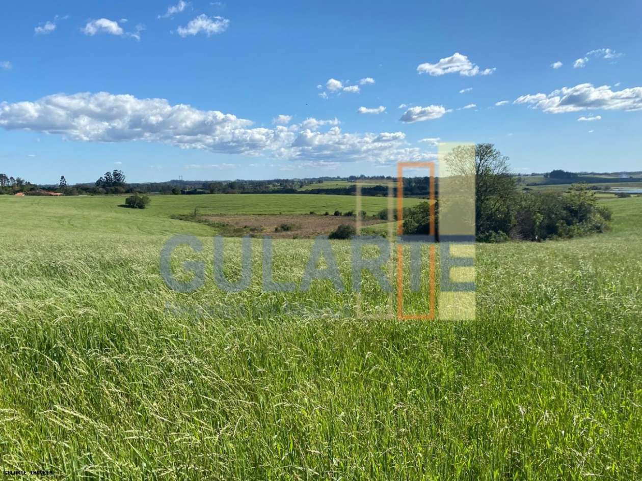 Fazenda, 140 hectares - Foto 7
