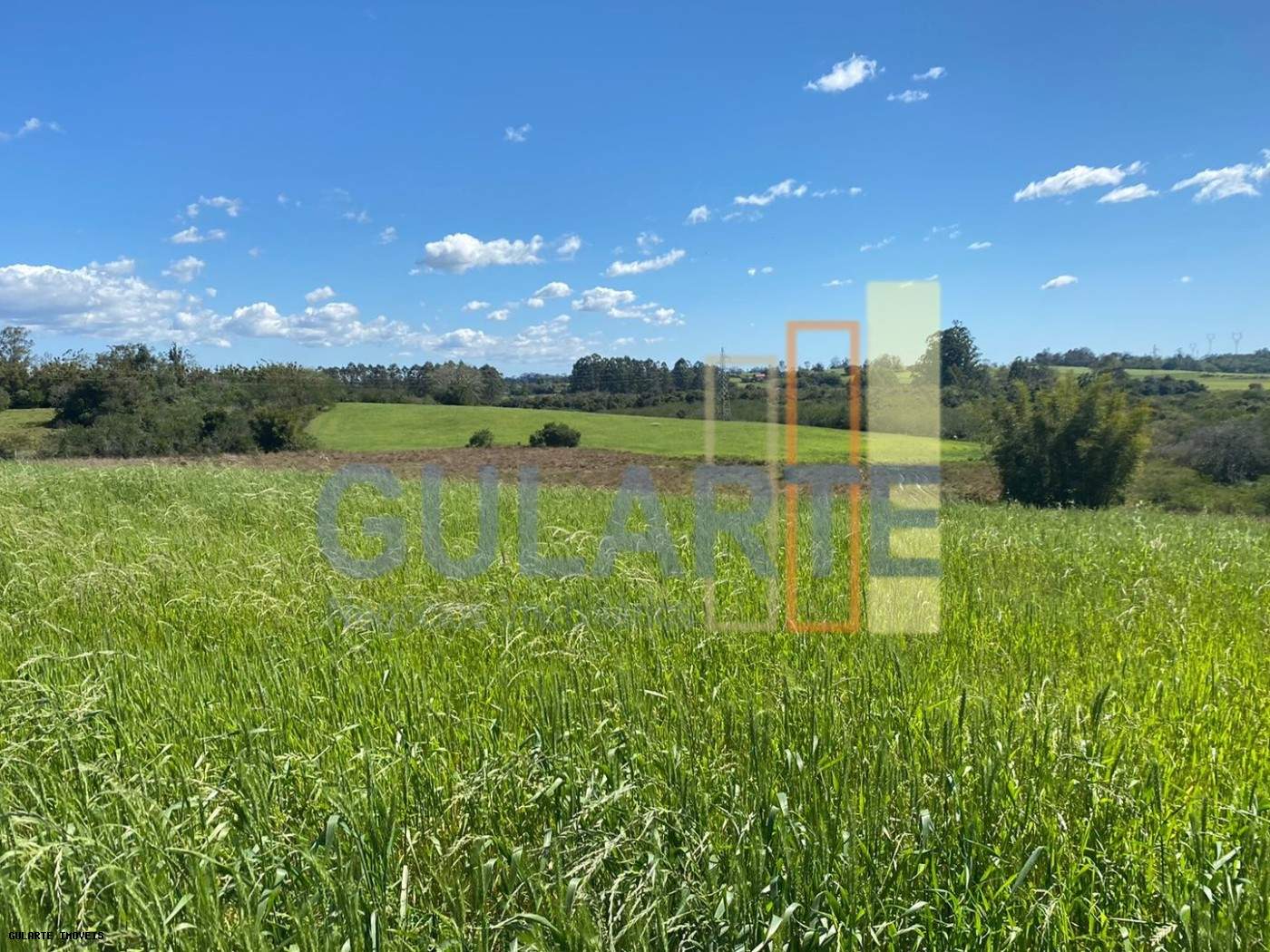 Fazenda, 140 hectares - Foto 10