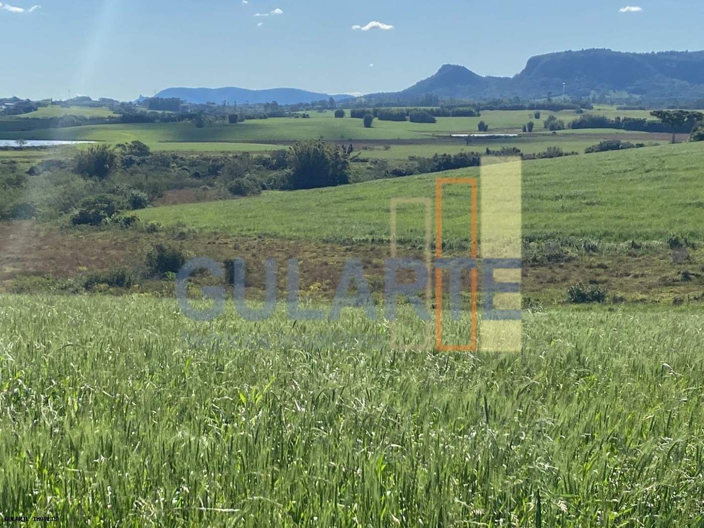 Fazenda, 140 hectares - Foto 9