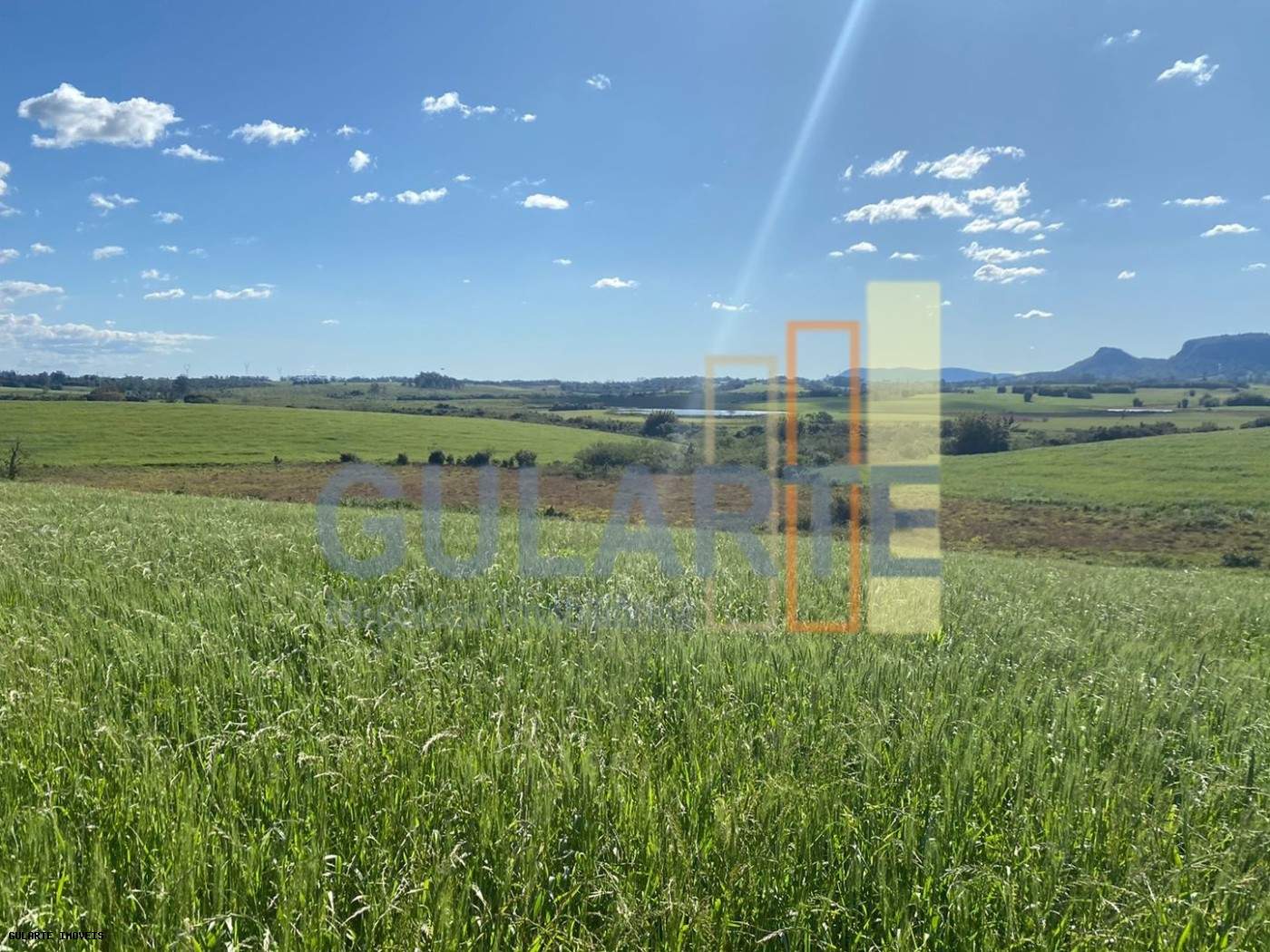 Fazenda, 140 hectares - Foto 12