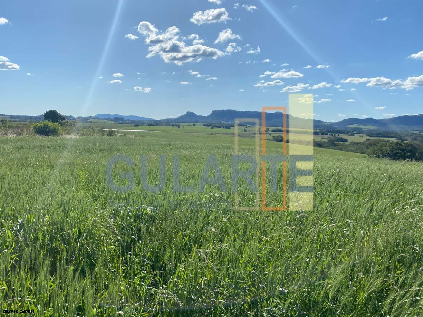 Fazenda, 140 hectares - Foto 13