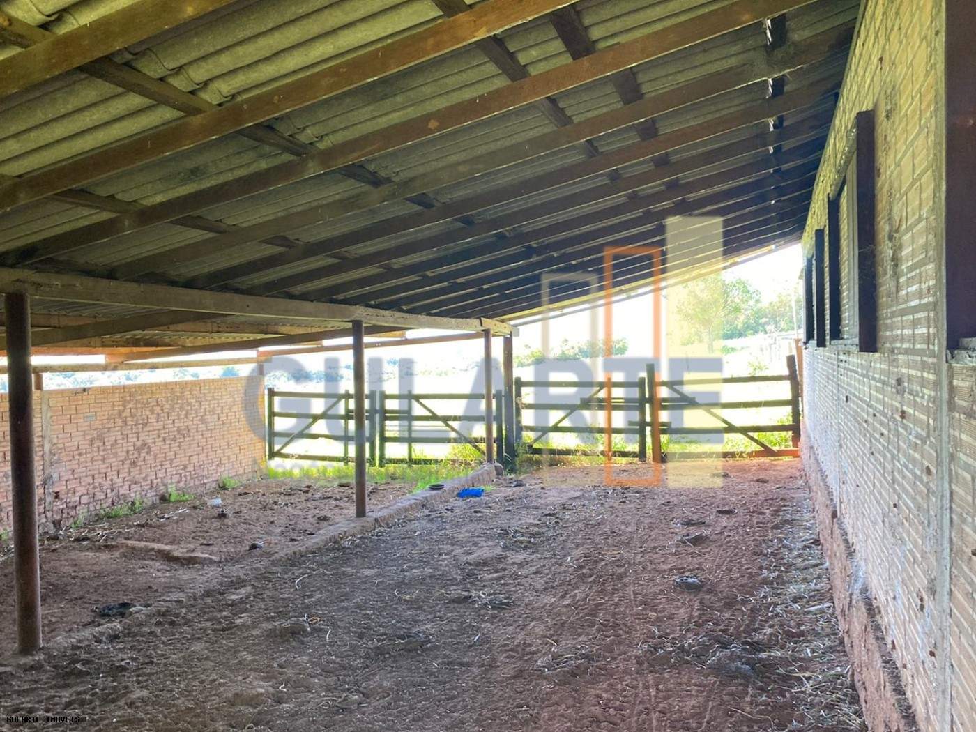 Fazenda, 140 hectares - Foto 14