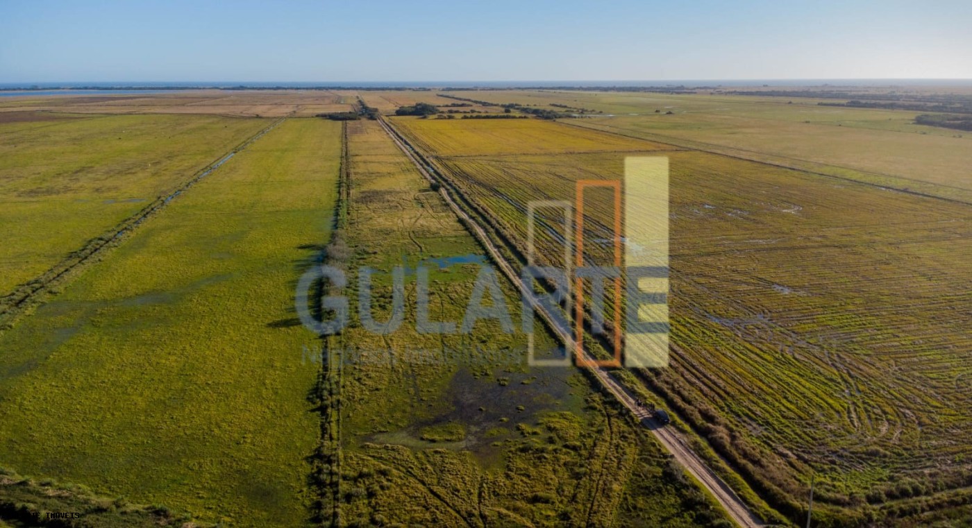 Fazenda, 1123 hectares - Foto 1