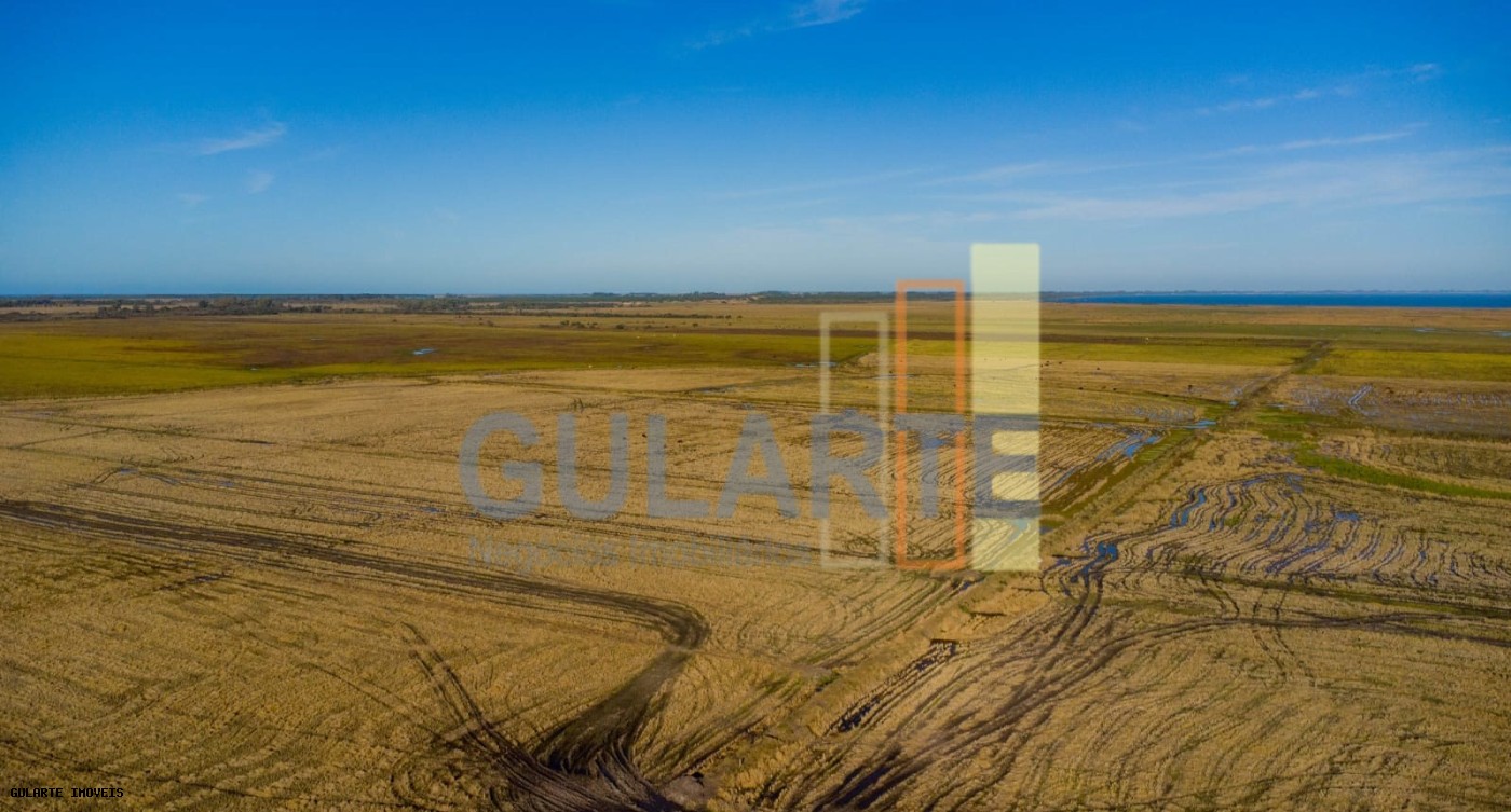 Fazenda, 1123 hectares - Foto 2