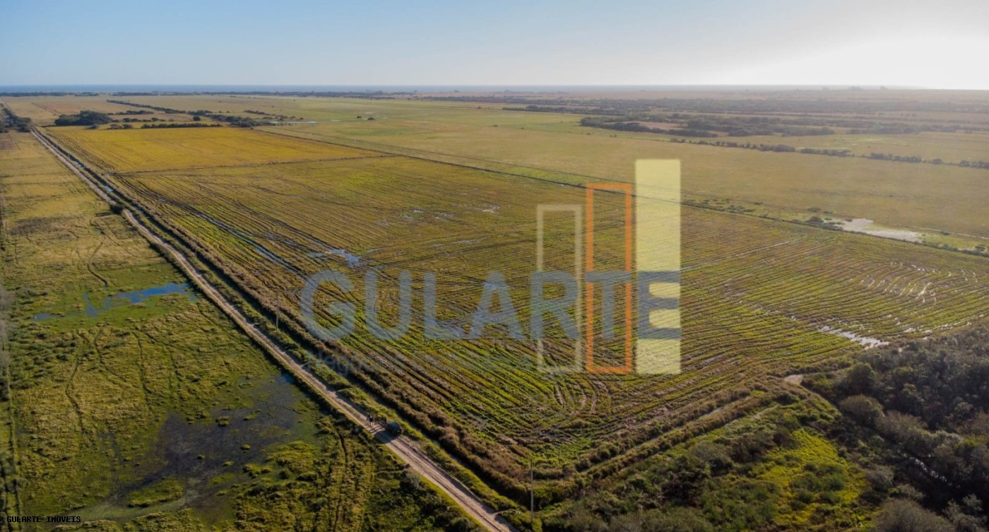 Fazenda, 1123 hectares - Foto 3