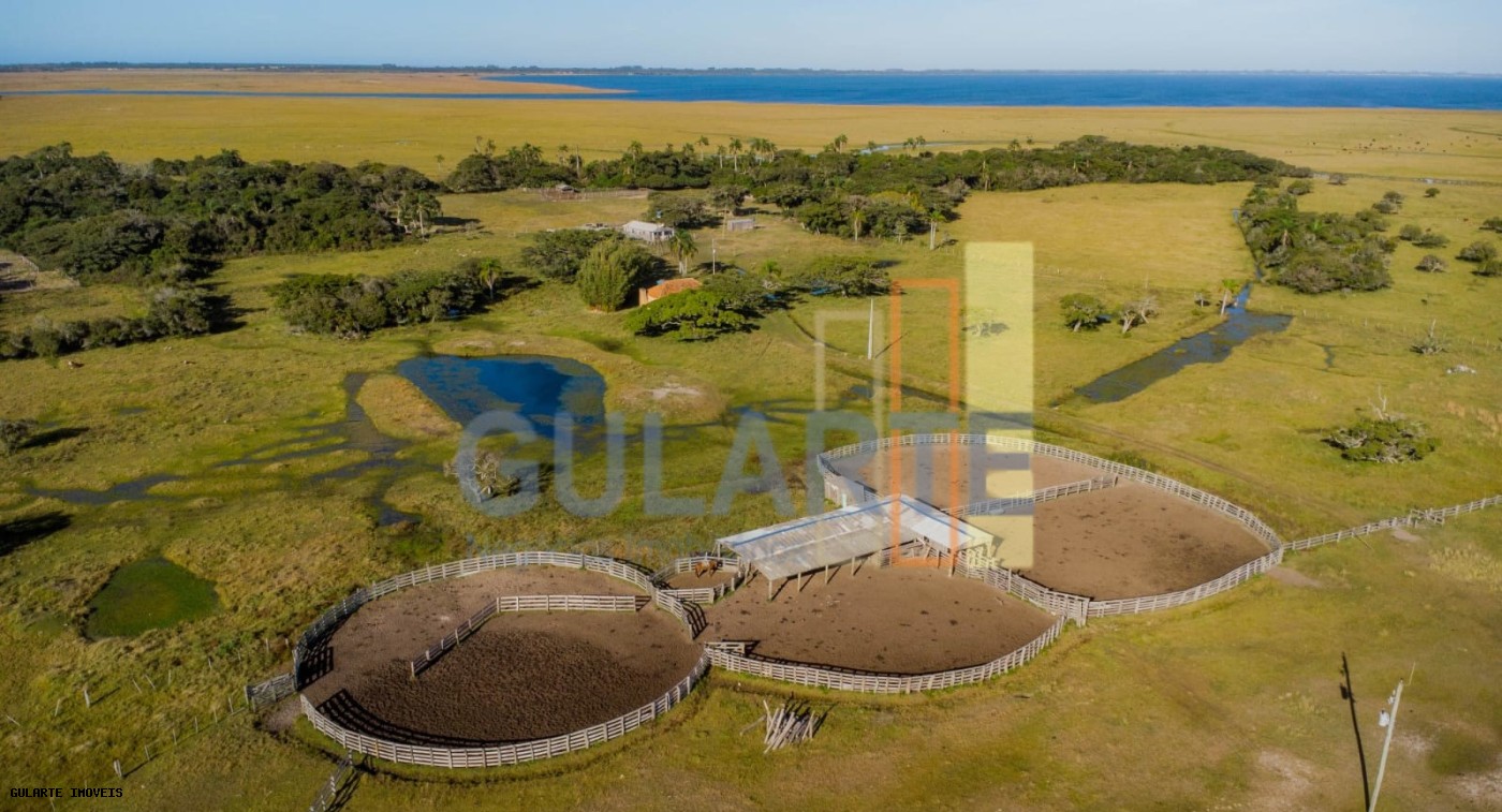 Fazenda, 1123 hectares - Foto 4