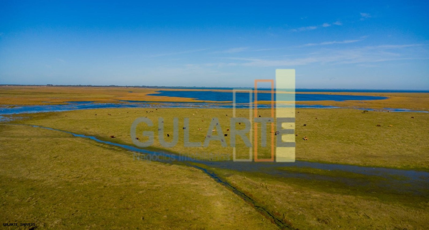 Fazenda, 1123 hectares - Foto 6
