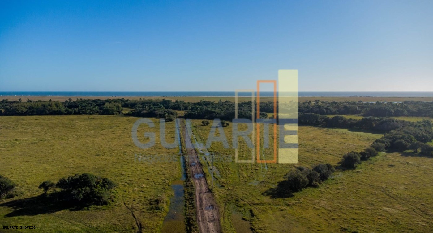 Fazenda, 1123 hectares - Foto 8