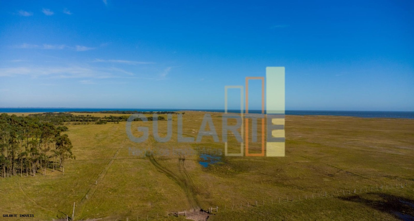 Fazenda, 1123 hectares - Foto 10
