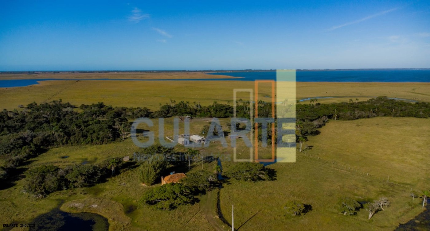 Fazenda, 1123 hectares - Foto 9